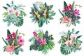 Flowers set, eucalyptus, tropical leaves and butterfly. Watercolor illustration isolated white background. Jungle floral Royalty Free Stock Photo