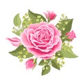 Flowers set. The rose elegant card. Vector illustration