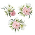 Flowers set of watercolor hellebore and peonies