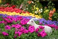 Flowers with sheep statue Royalty Free Stock Photo