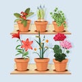 Flowers at shelves. Decorative tree plants grow in pots and standing in home interior at wooden shelves vector cartoon