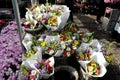 Flowers shoppers look for flowers for mother`s day