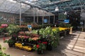 Flowers For Sale At Lowes Garden Center