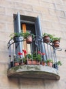 Flowers on Sienna Balcony, Italy