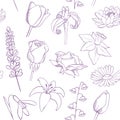 Flowers sketch seamless vector pattern