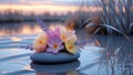 Serene Sunset: Pastel Flowers Floating on Tranquil Water Royalty Free Stock Photo
