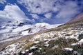 Flowers in snow against snow-covered mountains Royalty Free Stock Photo