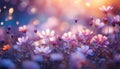 Flowers - Soft Focus Effect. Depth of Field. DOF - Depth of Field.