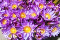 Flowers sold to be used as offerings in front of the Temple of the Tooth Relic in Kandy, Sri Lanka Royalty Free Stock Photo