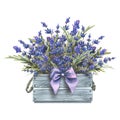 Flowers and sprigs of lavender, a bouquet in a gray wooden box decorated with a satin bow. Watercolor illustration. The Royalty Free Stock Photo