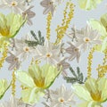 Flowers of Spring mimosa, daffodils and tulips on a white background. Seamless pattern. Royalty Free Stock Photo