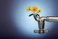 Flowers sprouted in the metal tap