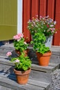 Flowers on stairs infront of a red wooden cabin