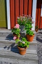 Flowers on stairs infront of a red wooden cabin