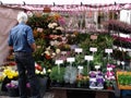 Flowers stall in Market