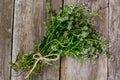 Flowers and Stems of Thyme Royalty Free Stock Photo