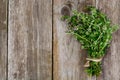 Flowers and Stems of Thyme Royalty Free Stock Photo