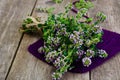 Flowers and Stems of Thyme Royalty Free Stock Photo