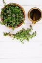 Flowers and Stems of Thyme Royalty Free Stock Photo