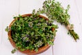Flowers and Stems of Thyme Royalty Free Stock Photo