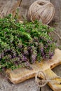Flowers and Stems of Thyme Royalty Free Stock Photo