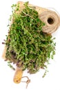 Flowers and Stems of Thyme Royalty Free Stock Photo