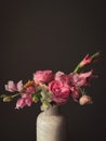 Flowers Still life. Beautiful pink flowers in vase in light on moody grey background. Stylish artistic composition of snapdragon, Royalty Free Stock Photo