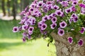 Flowers and stone vase in the park