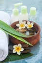 Flowers, stones and cosmrticsfor massage treatment Royalty Free Stock Photo