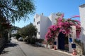 Flowers on the street of Bodrum, small touristic town in Turkey.