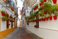 Flowers on street Cordoba, Andalusia, Spain