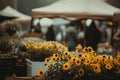 flowers on the street flower on the street flower on the roof Royalty Free Stock Photo