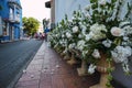 Flowers in the street, Cartagena de Indias ideal for weddings