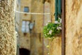 Flowers in the streets of Pienza, a village located in the beautiful Tuscany valley, known as the `ideal city of the Renaissance