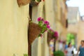 Flowers in the streets of Pienza, a village located in the beautiful Tuscany valley, known as the `ideal city of the Renaissance