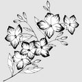 1944 flowers, stylized branch with flowers in black and white