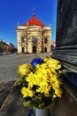 Flowers in support of the Ukrainian people