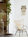 Flowers on table in white decor living room interior with plant