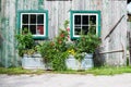 Flowers in a tin tub Royalty Free Stock Photo