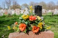 Flowers on a tombstone in a cemetary Royalty Free Stock Photo