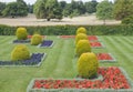 Flowers, topiary shaped plants in rows in landscaped garden