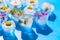 Flowers trapped in a block of ice. Ice cubes with wild herbs close up