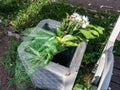 Flowers in the trash