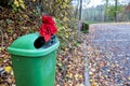 Flowers in trash