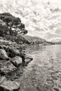 Flowers and trees near lake, Montreux. Switzerland