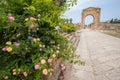 Flowers with the triumphal arch in the background. Roman remains in Tyre. Tyre is an ancient Phoenician city. Tyre, Lebanon - June Royalty Free Stock Photo