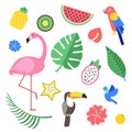 Flowers and tropical exotic fruits and birds. Vector illustrations isolate Royalty Free Stock Photo
