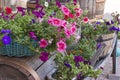 Flowers in tubs on an old cart Royalty Free Stock Photo