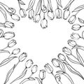 Flowers tulips black and white, heart frame, vector illustration Royalty Free Stock Photo