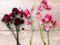 Flowers tulips and roses lying on wooden table. Bright spring tulips and red roses on wooden background. Tulips on a wooden backgr Royalty Free Stock Photo